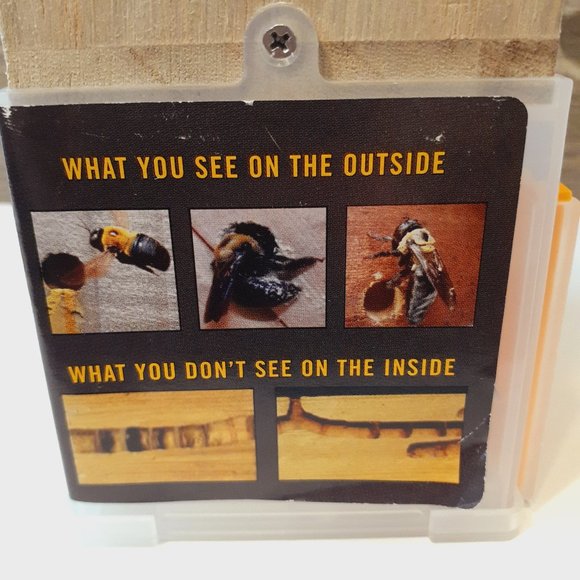 carpenter bee trap Bees N Things - Picture 5 of 16